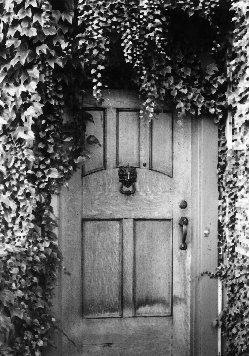 LANSTON TYPE COMPANY DOOR