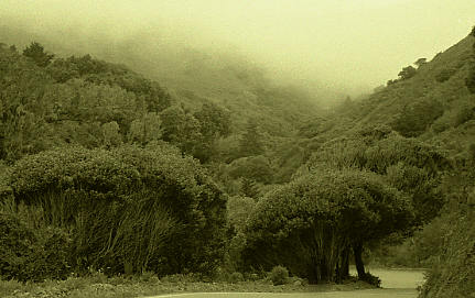 GIAMPA TAKES OVER LANSTON MONOTYPE LIBRARY